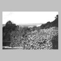 059-0146 Podollen-Cremitten im Jahre 1938 mit Blick auf den Pregel. Aufgenommen von Hildegard Culin.jpg